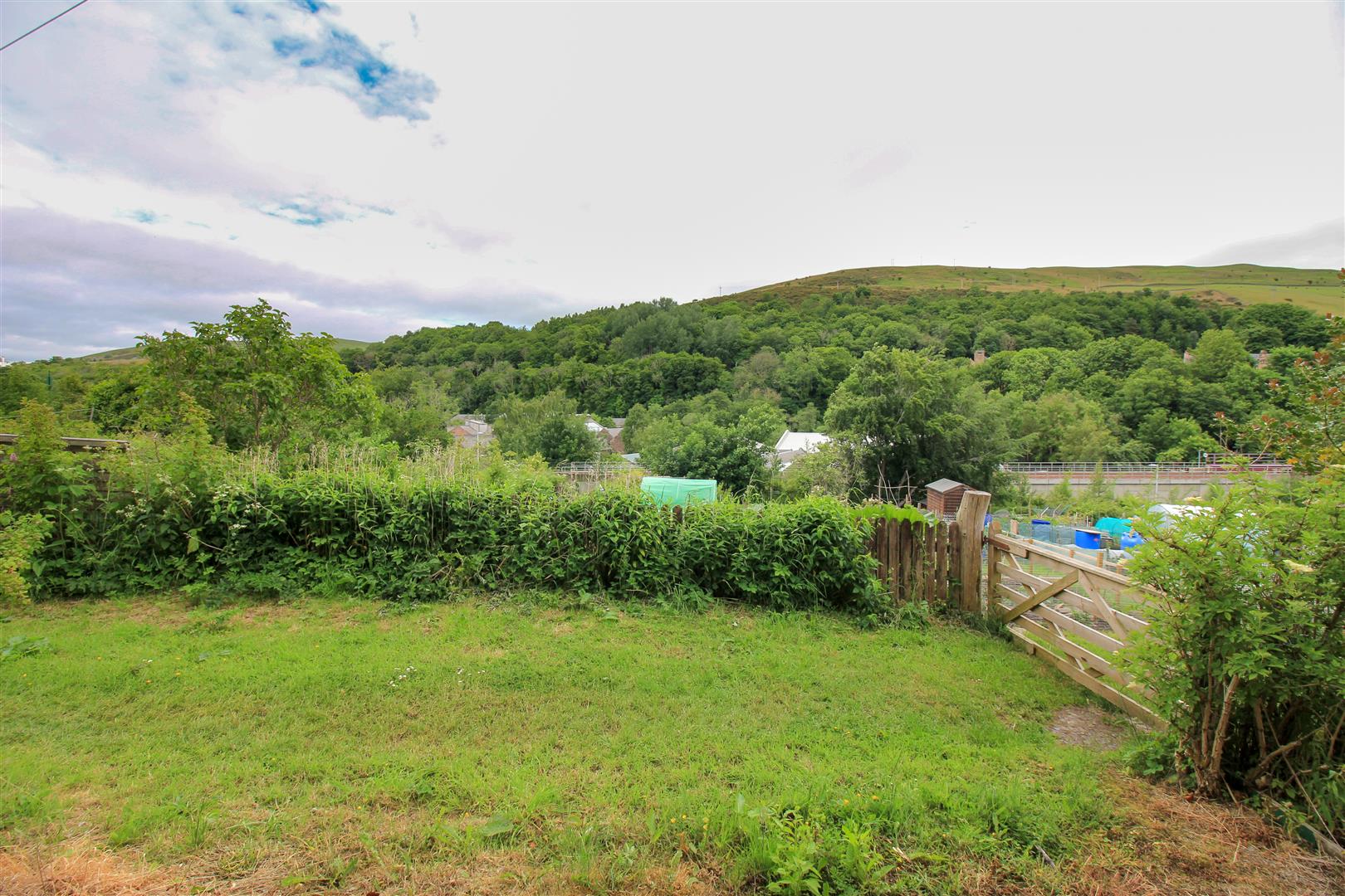 Wood Street, Galashiels Bannerman Burke
